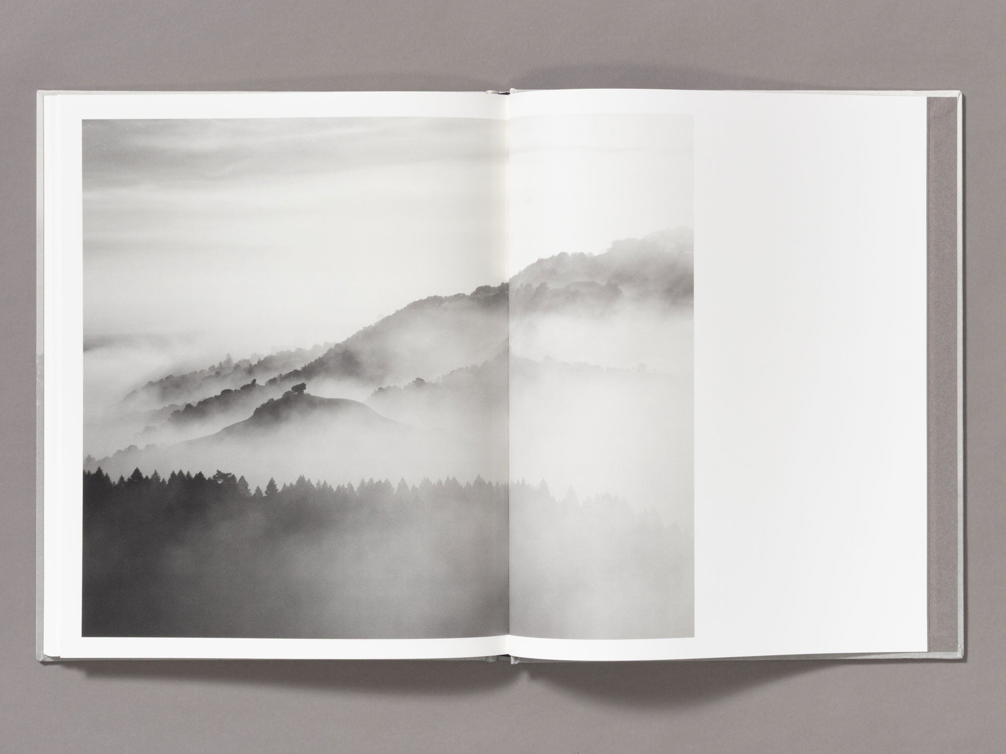 Special Edition / The Weight Of Ash - Ian Bates