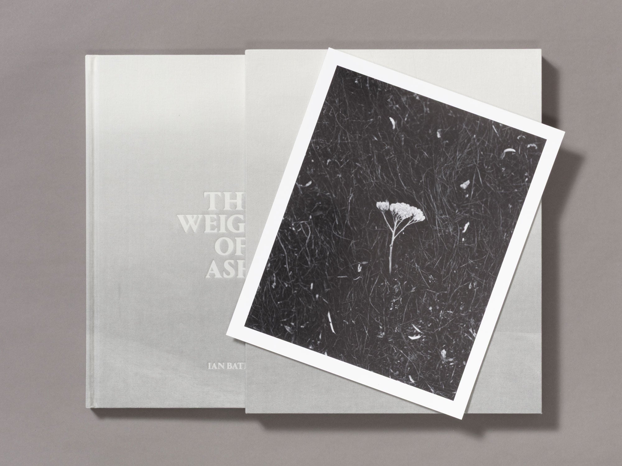 Special Edition / The Weight Of Ash - Ian Bates