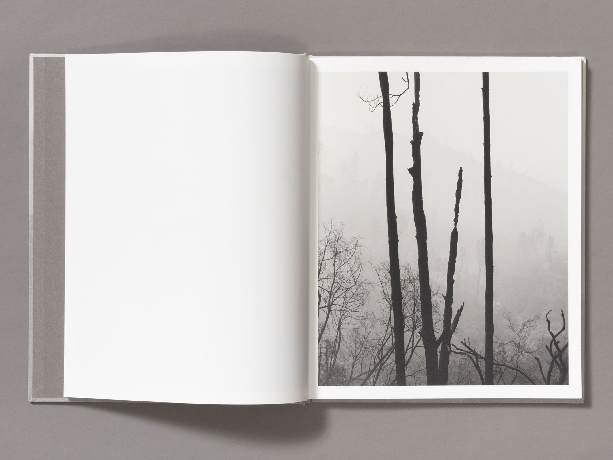 Special Edition / The Weight Of Ash - Ian Bates