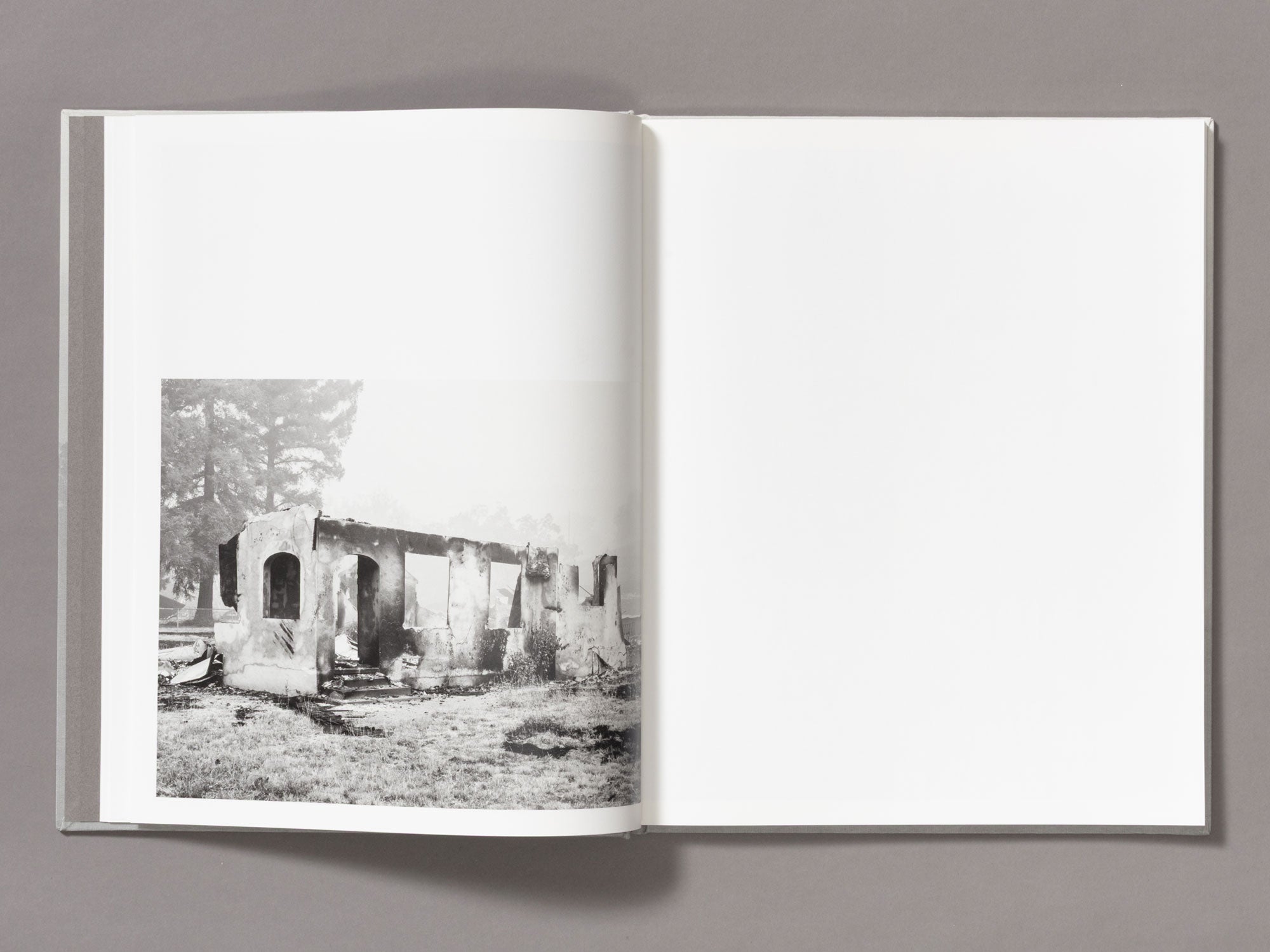 Special Edition / The Weight Of Ash - Ian Bates