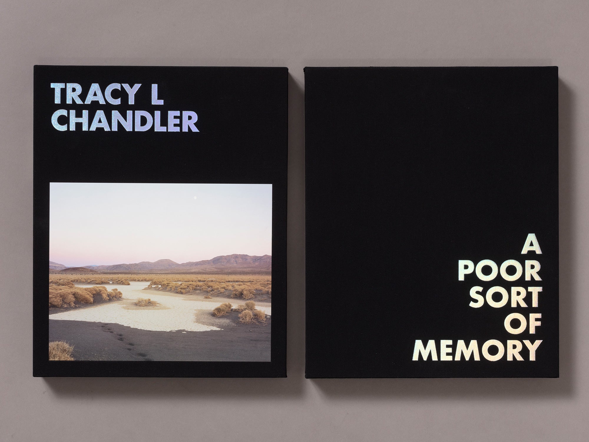 Special Edition / A Poor Sort of Memory - Tracy L Chandler