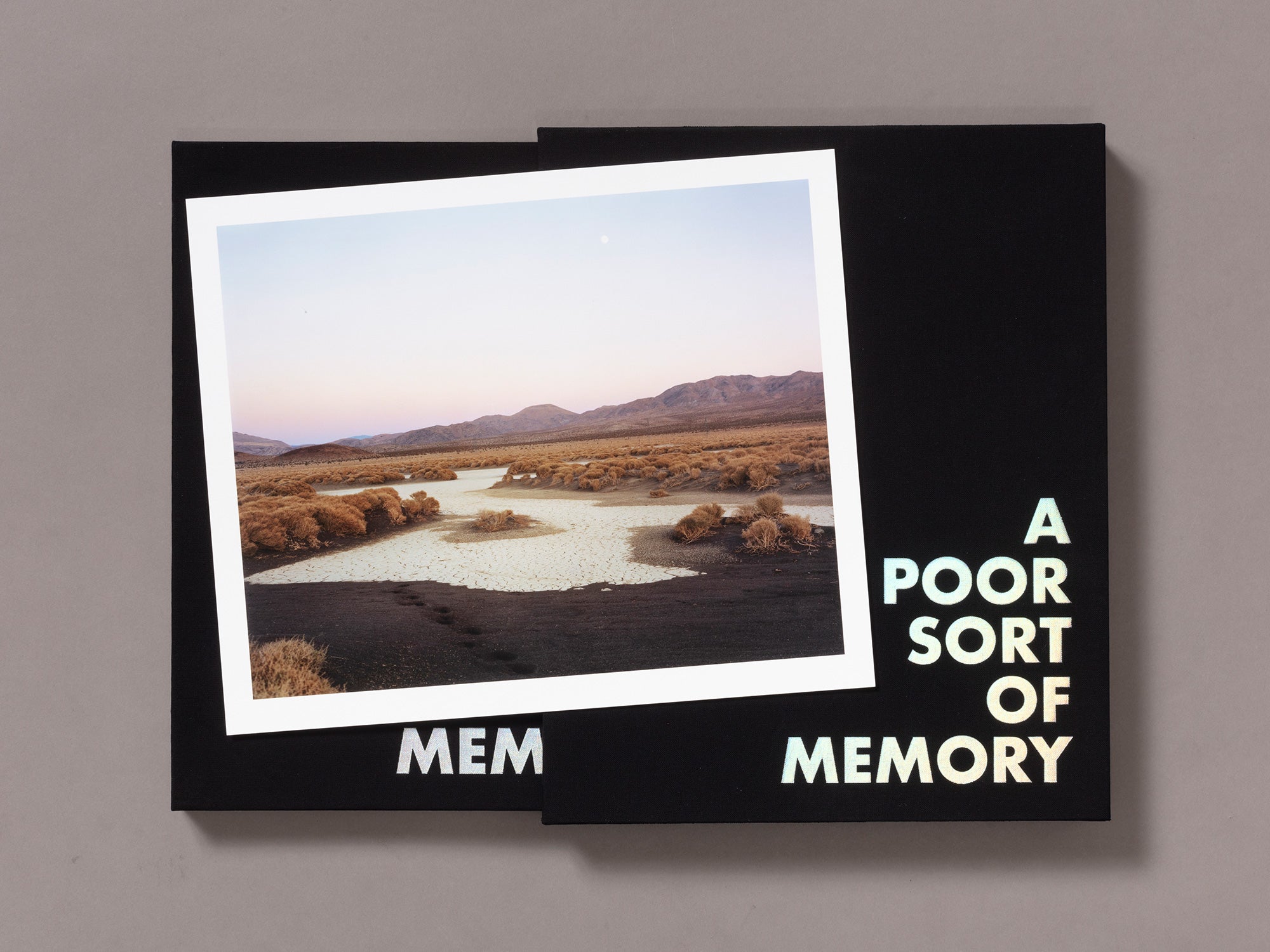 Special Edition / A Poor Sort of Memory - Tracy L Chandler