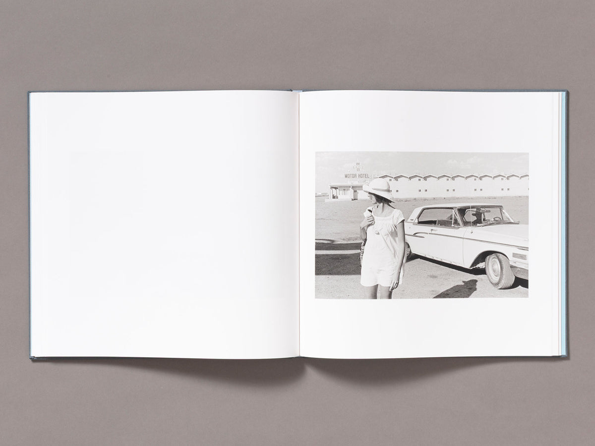 Hitchhike - Henry Wessel