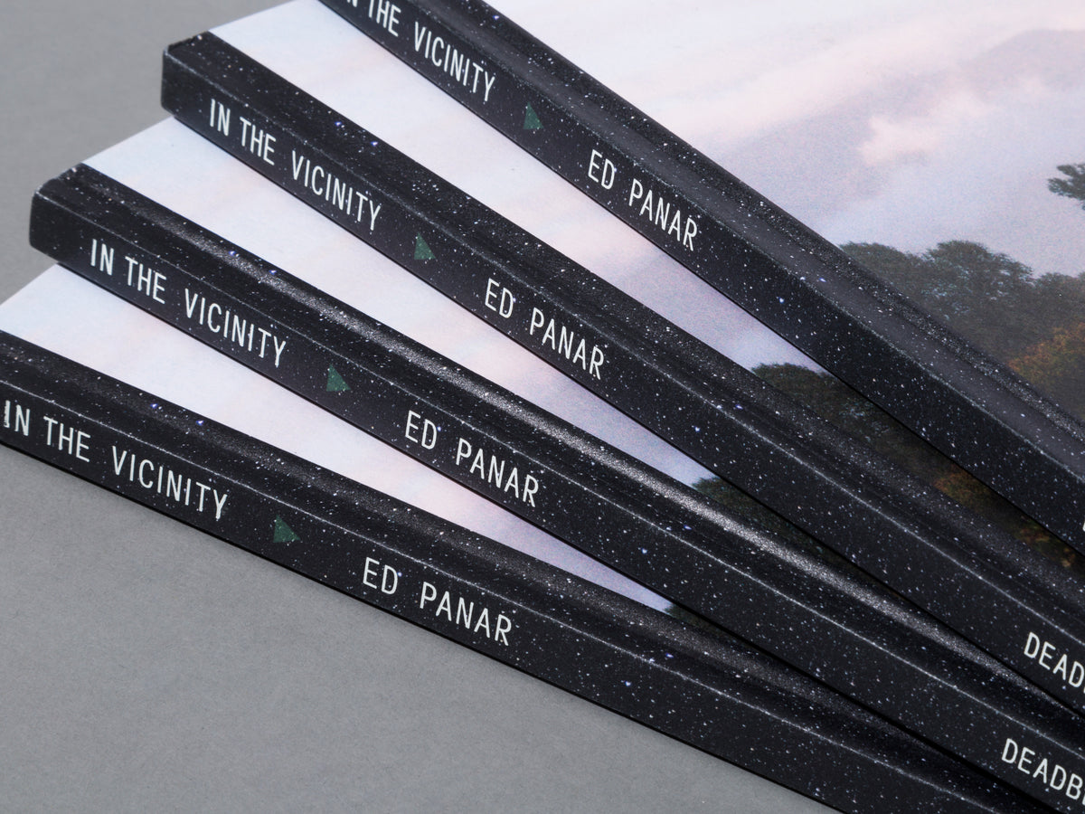 In The Vicinity - Ed Panar