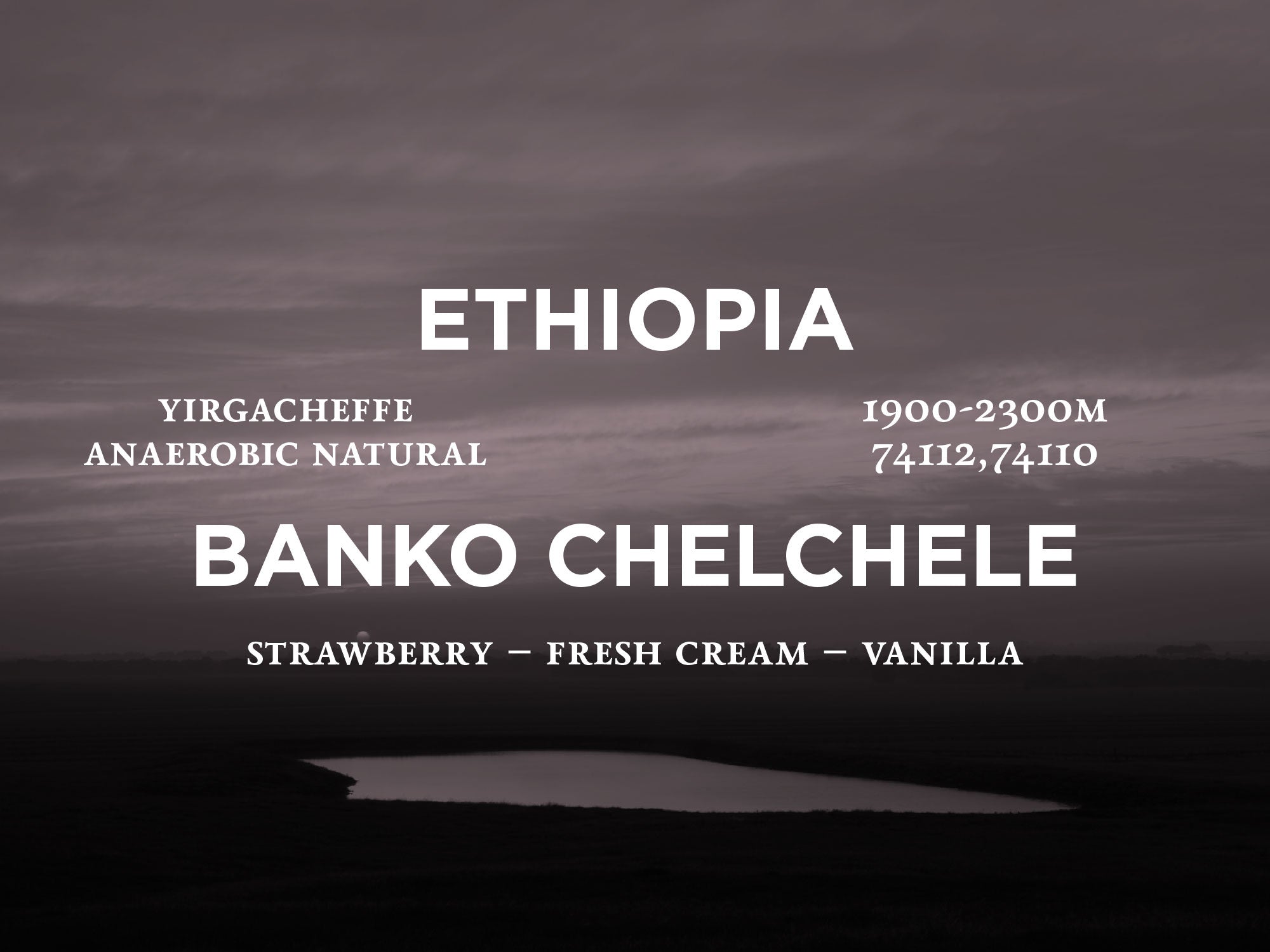 Ethiopia - Banko Chelchele Natural