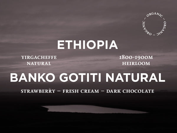 Ethiopia - Banko Gotiti Natural